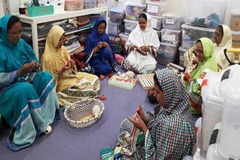 Nageshwari Akrithi Artisan Association