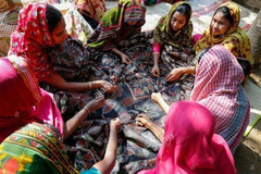 Krishnaveni Akrithi Artisan Association